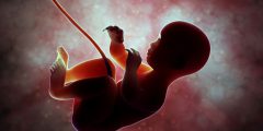 تجربتي مع الحقن المجهري بالتفصيل للحمل بتوأم