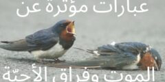 عبارات عن الموت والفراق للأحبة قصيرة مؤثرة
