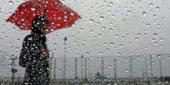 عبارات عن صوت المطر تويتر