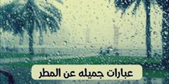 عبارات عن صوت المطر تويتر