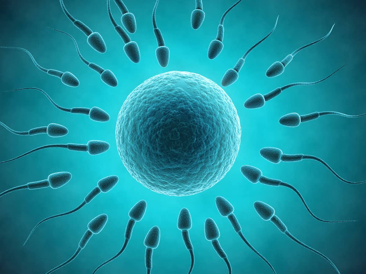 ما اسباب العقم المتعلقة بالزوجة وافضل علاج لها