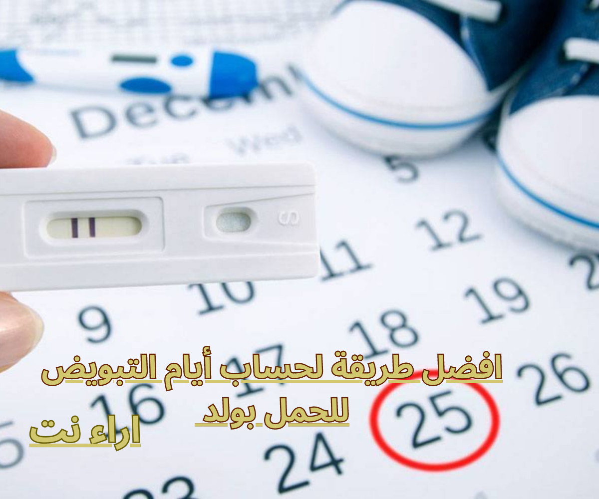 افضل طريقة لحساب أيام التبويض للحمل بولد