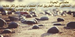 عبارات تكتب على الصور الشخصية للبنات فيس بوك 2023