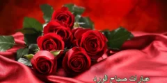 عبارات صباح الورد والياسمين لصديقتي الجميلة