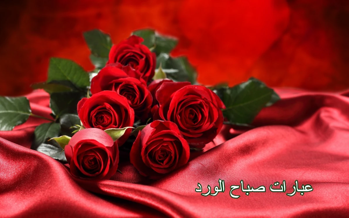 عبارات صباح الورد والياسمين لصديقتي الجميلة