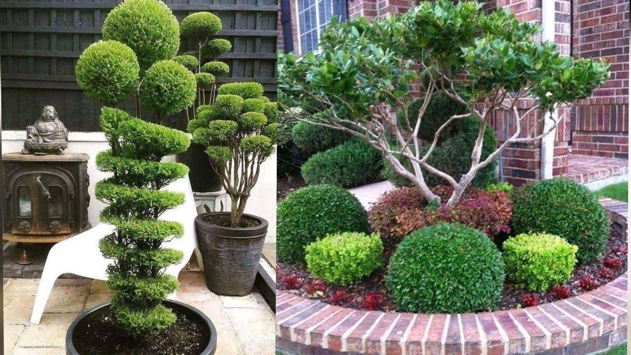أفكار بسيطة ديكورات حدائق منزلية