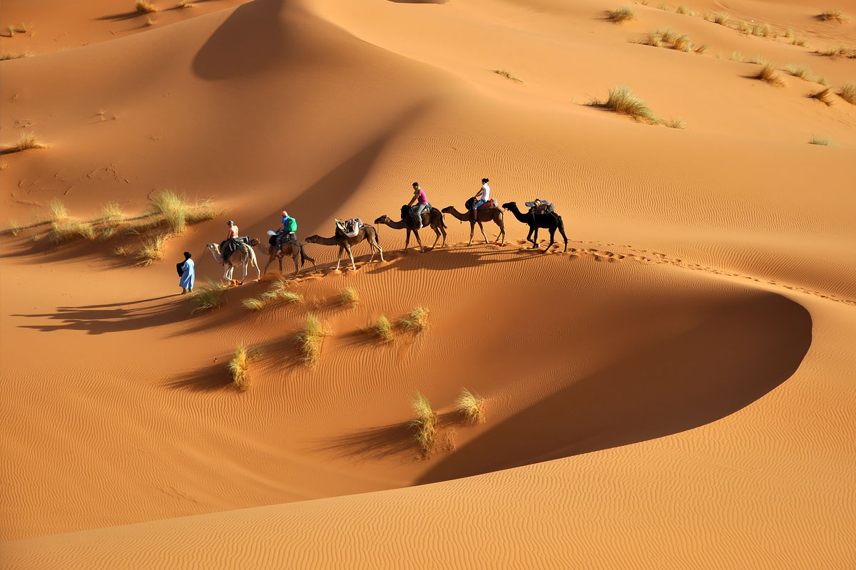 أصل عائلة الخضير وش يرجع