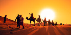 أصل عائلة العماري في الجزائر من وين