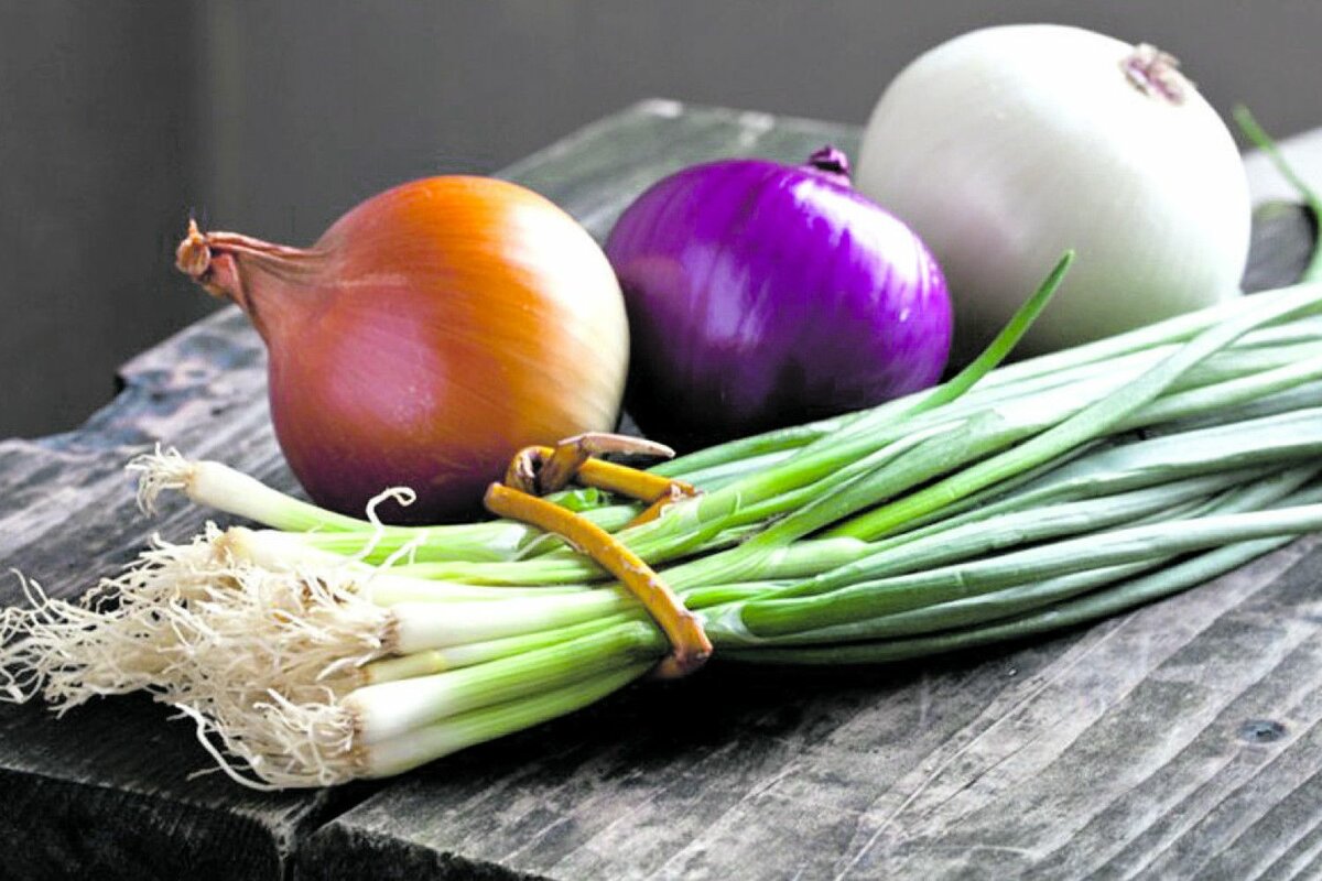 أفضل أنواع البصل للطبخ والتخزين