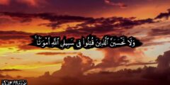 أفضل دعاء للشهيد البطل مستجاب .. أدعية عامة للشهيد أفضل دعاء للشهيد البطل مستجاب .. أدعية عامة للشهيد