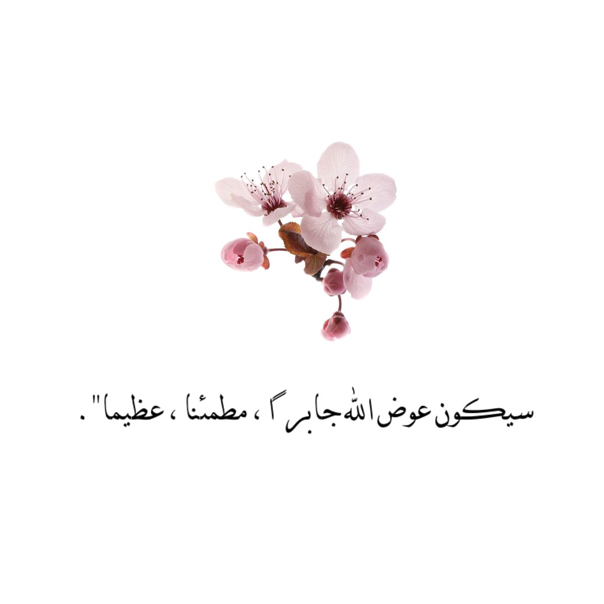 اجمل ما قيل عن عوض الله