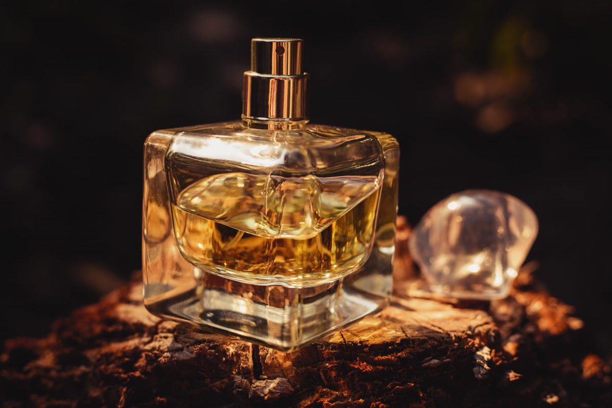 افضل نوع عطر نسائي من درعه كم سعره