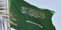 المهنا وش يرجعون ومن أي قبيلة اصله