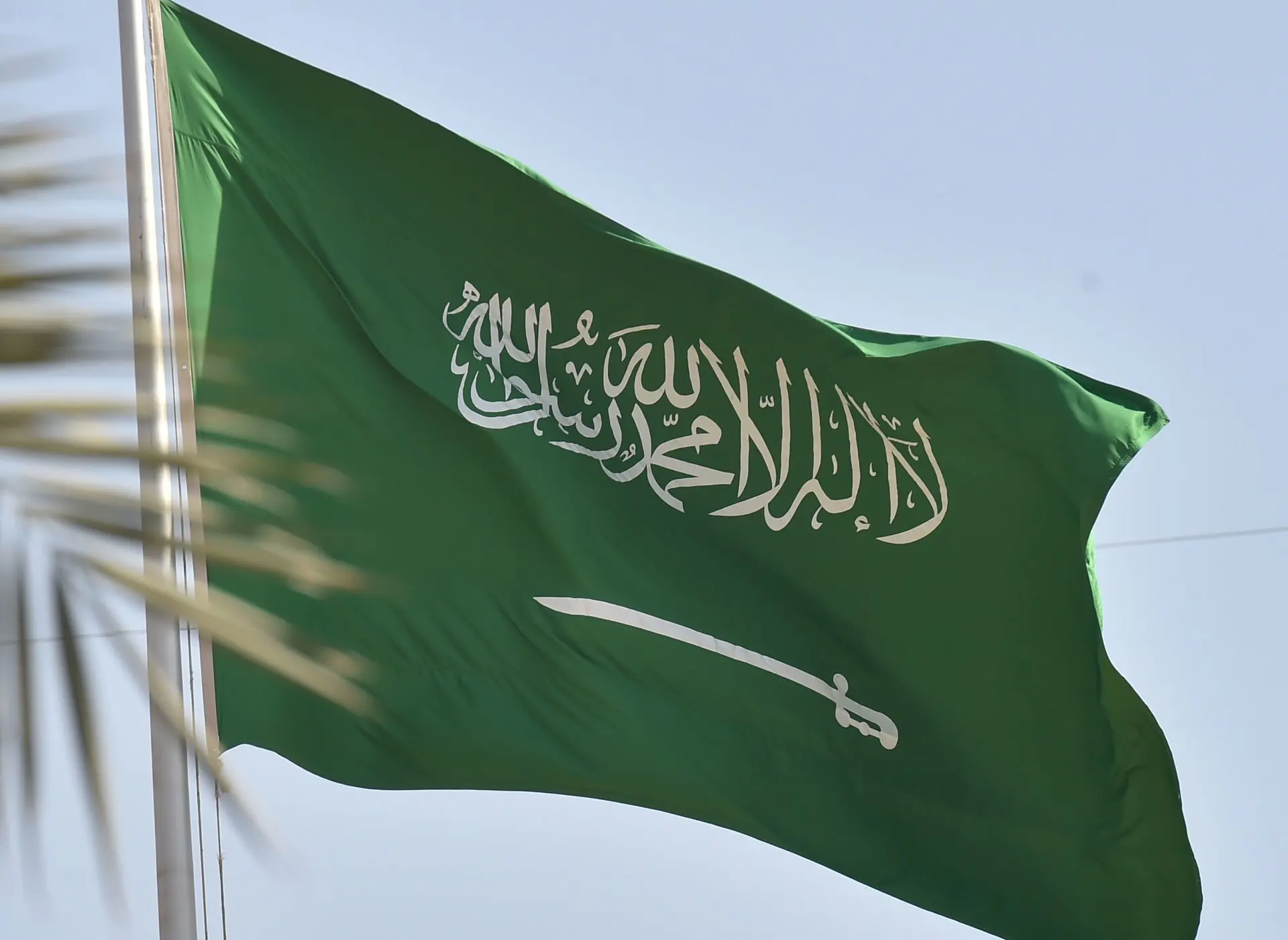 المهنا وش يرجعون ومن أي قبيلة اصله