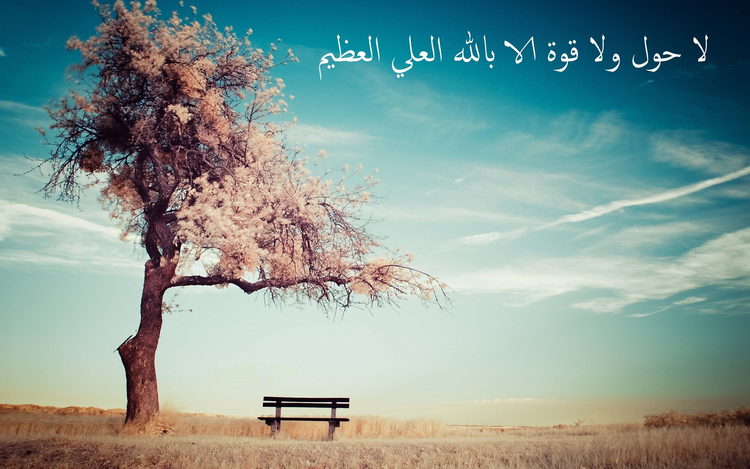 تجربتي مع الحوقلة 1000 مرة