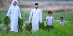 اصل عائلة السالم في الاحساء