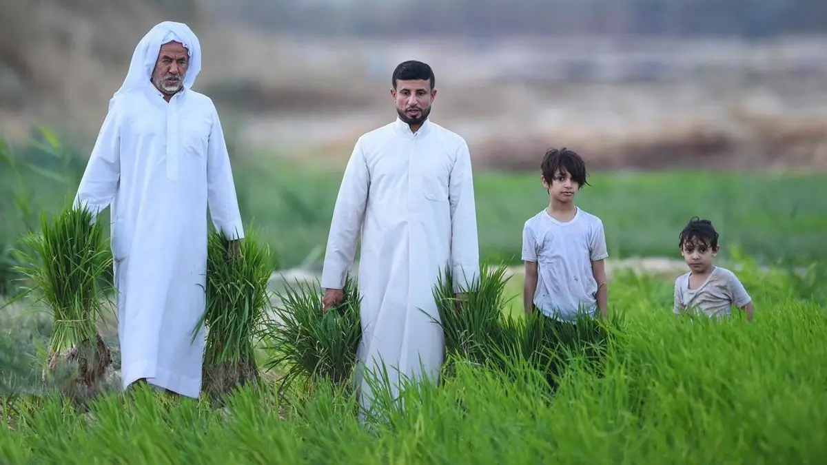 اصل عائلة السالم في الاحساء