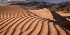 اين يقع غرد ابو المحاريق