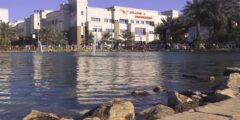 نسب قبول في جامعة الشرق الاوسط الامريكية aum الكويت