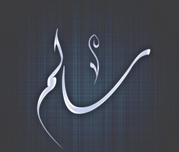 عيوب حامل اسم سالم