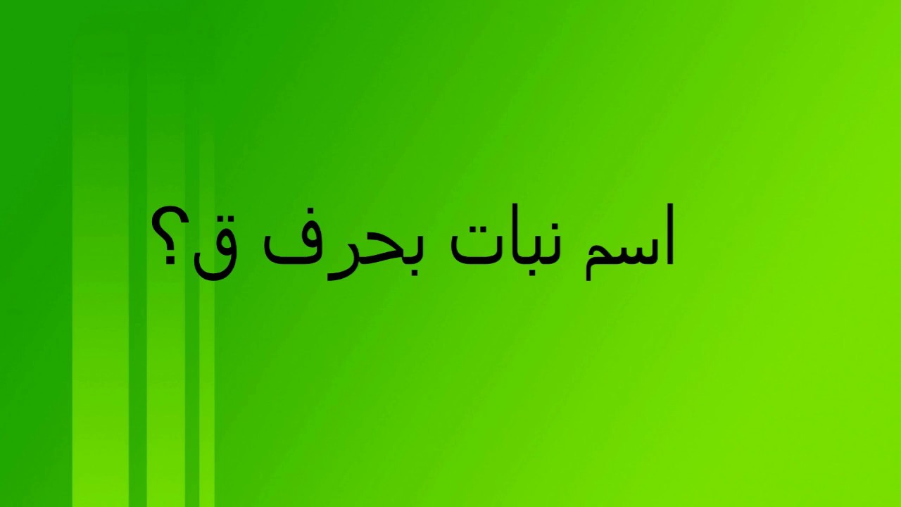 اسماء بنات بحرف القاف ق 2024 اسم بنت بحرف ق