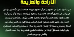 انشاء عن الإرادة والعزيمة للصف الثالث المتوسط