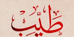 اذا واحد قال طيب وش ارد عليه