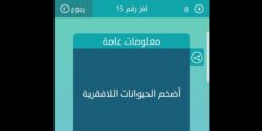 اضخم الحيوانات اللافقارية لغز 15 ما الحل
