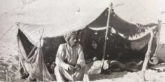 الشعلان وش يرجعون .. شجرة عائلة الشعلان