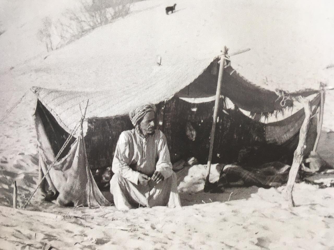 الشعلان وش يرجعون .. شجرة عائلة الشعلان