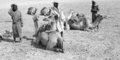 الحيدري وش يرجعون أصل قبيلة الحيدري