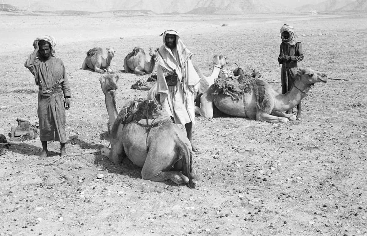 الحيدري وش يرجعون أصل قبيلة الحيدري