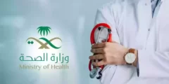 ما الفرق بين التشغيل الذاتي والخدمة المدنية