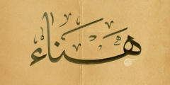 ما هي عيوب اسم هنا