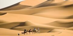 305 رمز اي قبيلة