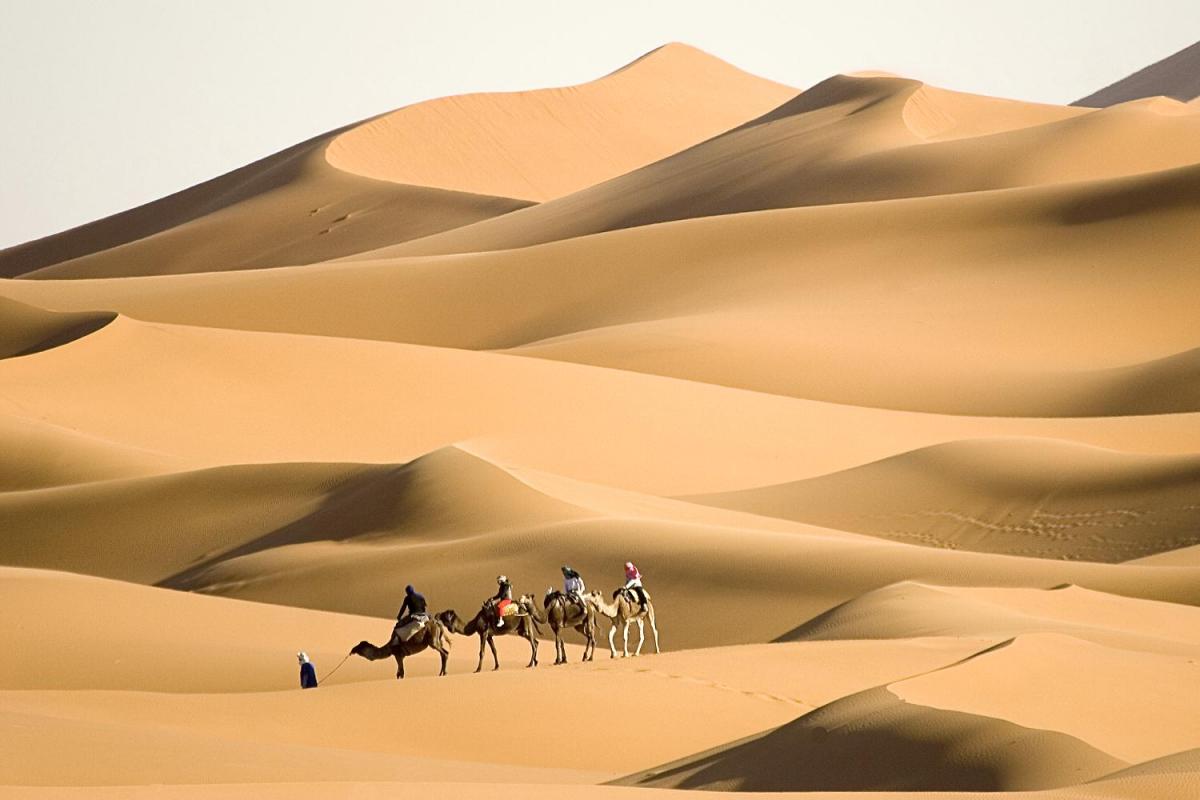 305 رمز اي قبيلة