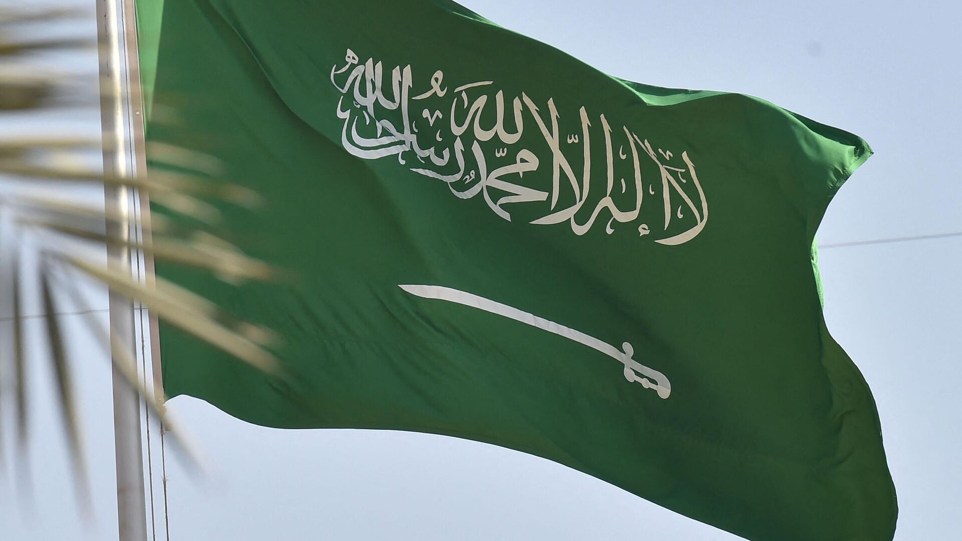 501 رمز اي قبيلة