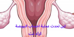 اين تحدث عملية اخصاب البويضة