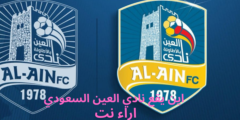 اين يقع نادي العين السعودي