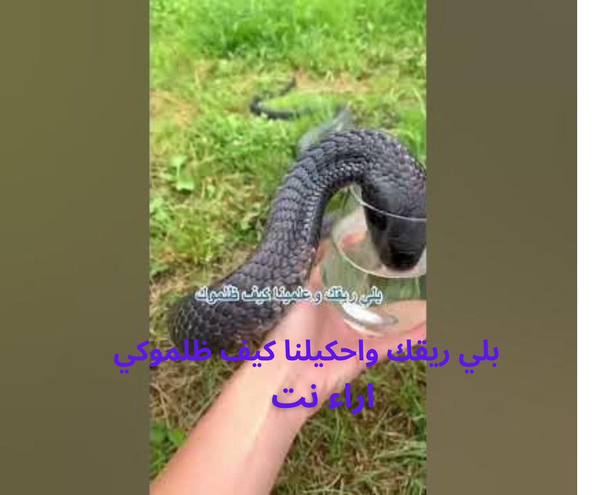 بلي ريقك واحكيلنا كيف ظلموكي