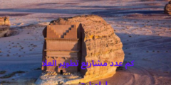 كم عدد مشاريع تطوير العلا