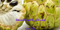 كيف تأكل فاكهة القشطة