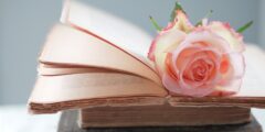كيف تقتل زوجتك pdf