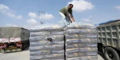 كيف تم بناء اول مصنع اسمنت