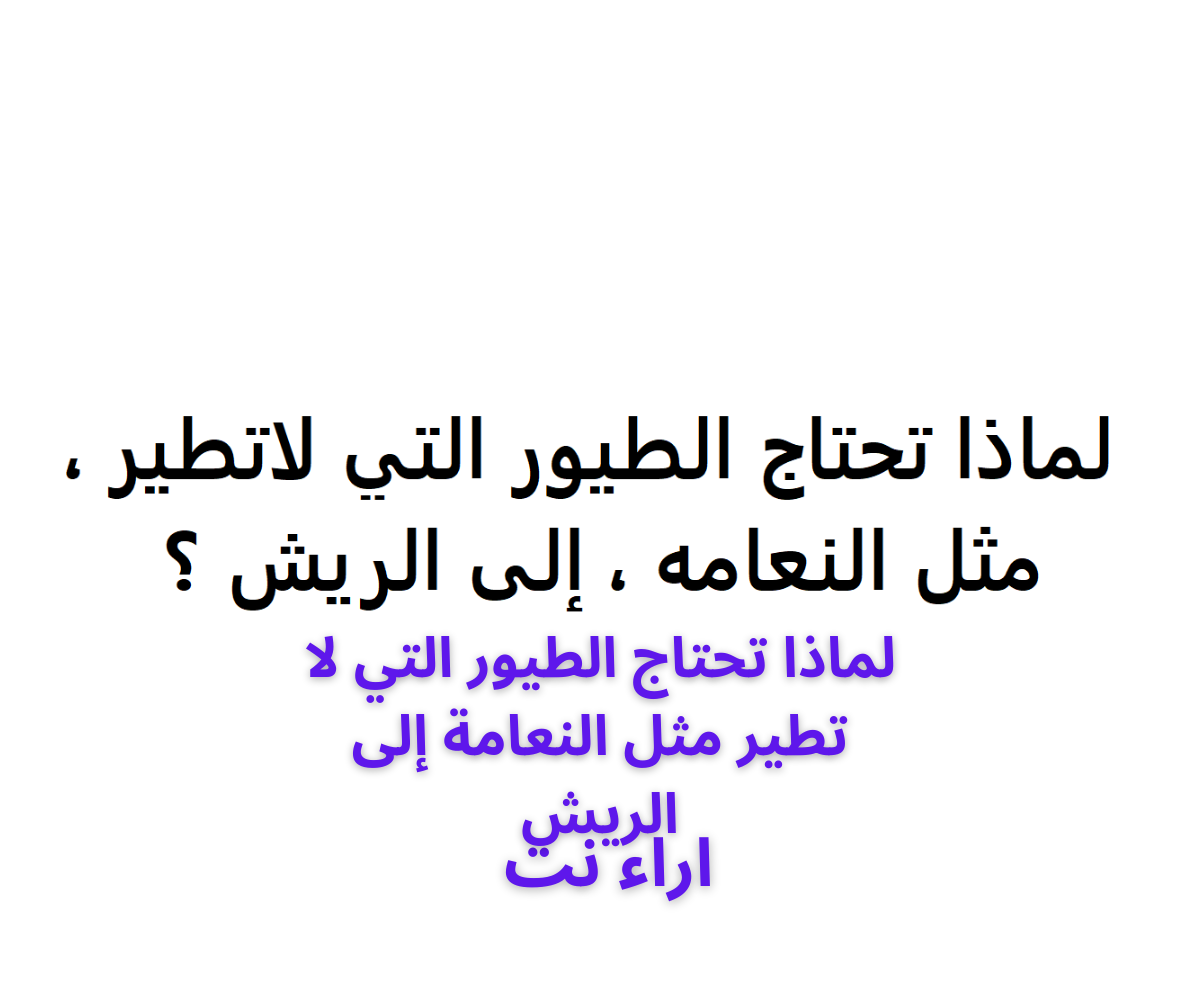 لماذا تحتاج الطيور التي لا تطير مثل النعامة إلى الريش