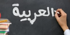 لماذا سميت اللغة العربية بلغة الضاد
