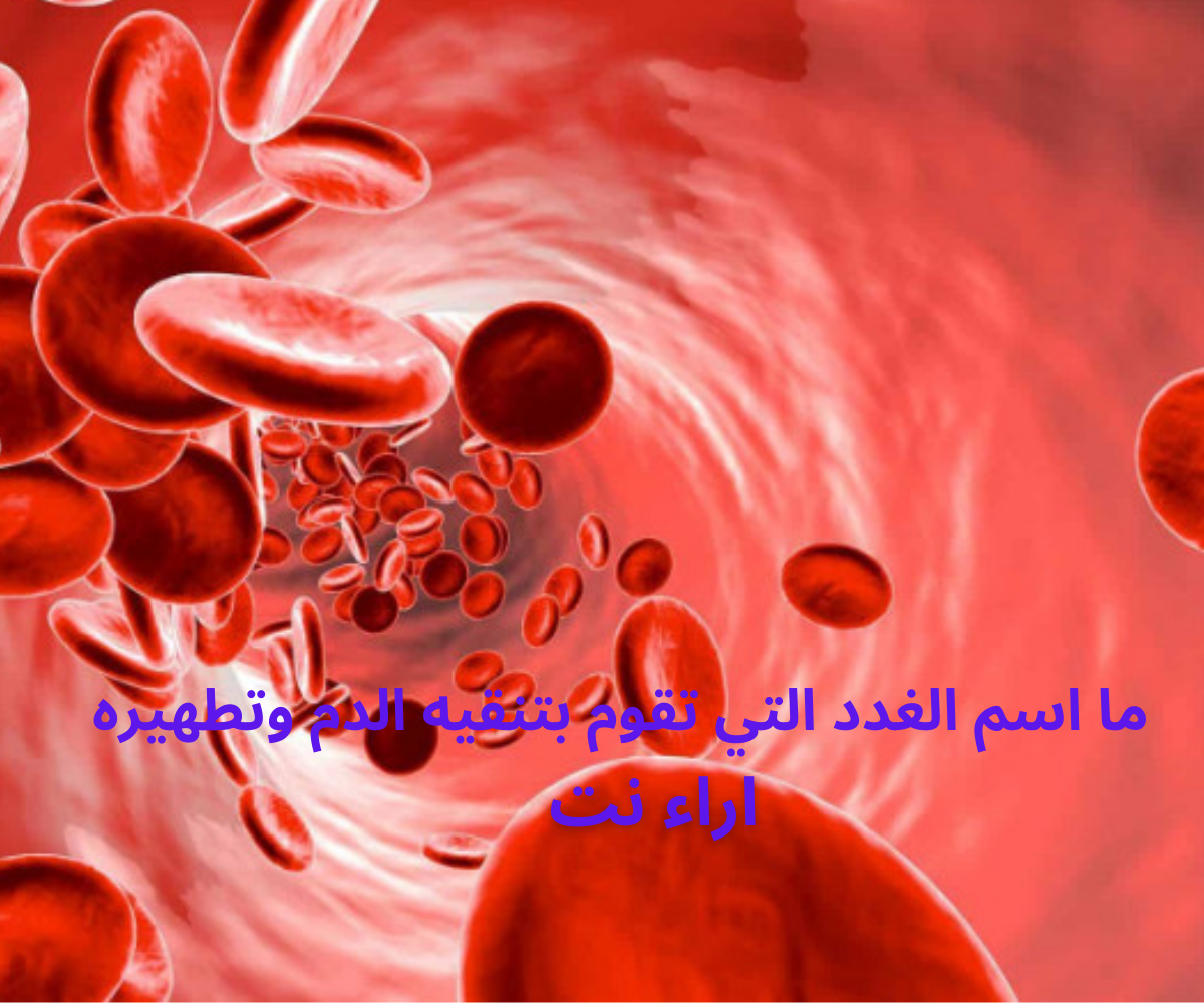 ما اسم الغدد التي تقوم بتنقيه الدم وتطهيره