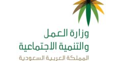 نموذج رفع دعوى مكتب العمل pdf
