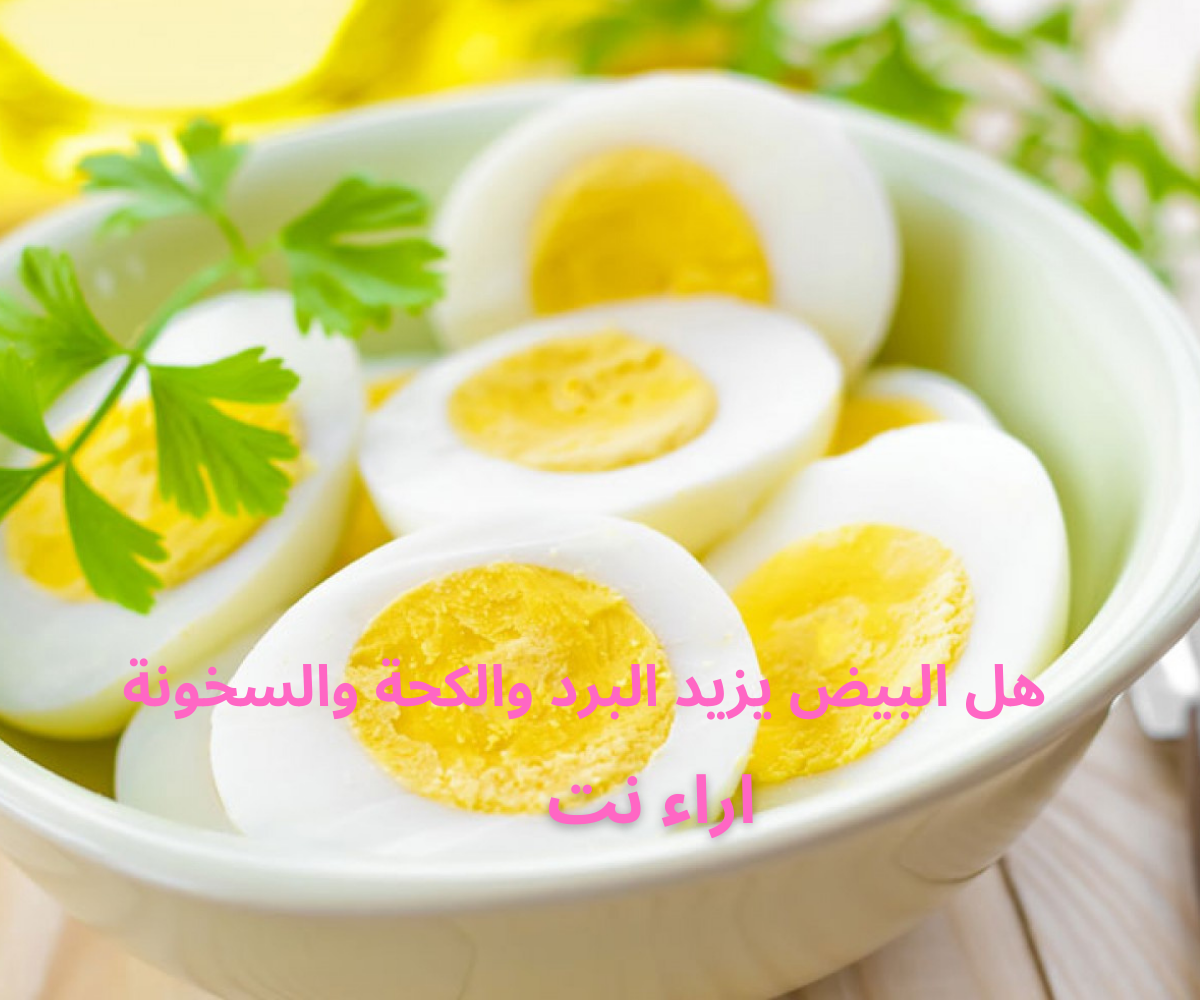 هل البيض يزيد البرد والكحة والسخونة