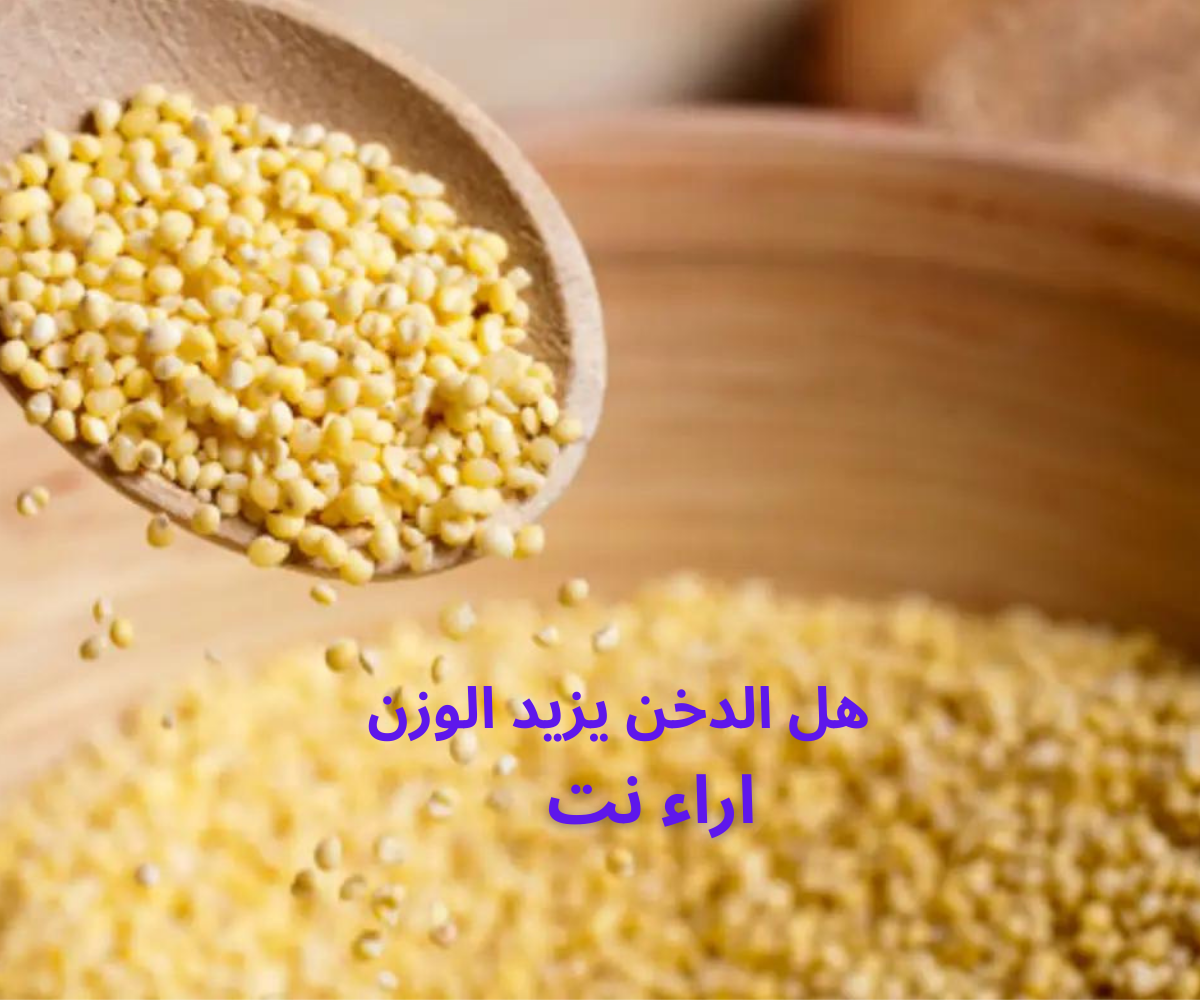 هل الدخن يزيد الوزن
